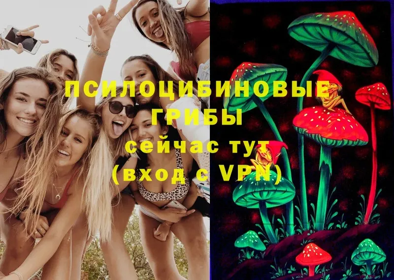 Галлюциногенные грибы Psilocybine cubensis  Бавлы 